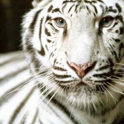 Profile Picture of Mandy Hudson (@ReadingsbyMandy) on Twitter