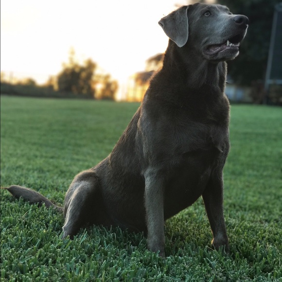 Profile Picture of Fletcher Moore (@fmoore22) on Poshmark