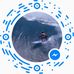 Profile Picture of Richard Darner (@richard.darner.904) on Facebook