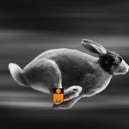 Profile Picture of Michael Hawthorne (@HawthorneMike) on Twitter