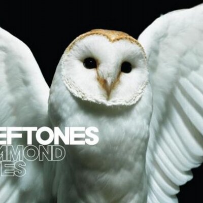 Profile Picture of Dustin Chamberlain (@DNChamberlain) on Twitter