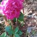 Profile Picture of Mathew Philip (@mathew.philip.1272010) on Facebook
