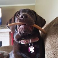 Profile Picture of Chris Crockett (@chris-crockett-8) on Quora