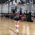 Profile Picture of crystal nguyen (@crystalnguyen_volleyball) on Instagram