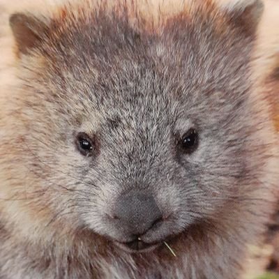 Profile Picture of Steven Bannister (@SBannister14) on Twitter