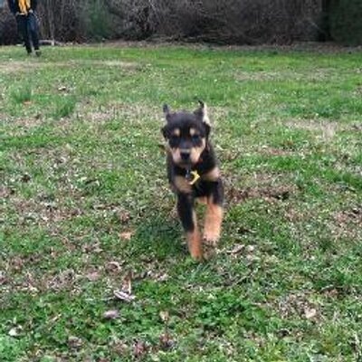 Profile Picture of Lisa Caposio (@Astoria3) on Twitter