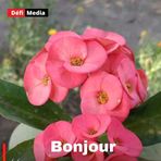 Profile Picture of Isabelle Dubonheur (@Isabelle-Dubonheur) on Facebook