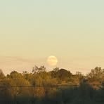 Profile Picture of Mikey Bumgarner (@mikey.bumgarner.353) on Facebook