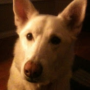 Jason Rajotte - Youtube Profile Picture of Jason Rajotte (@jasonrajotte5172) on Youtube