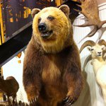 Profile Picture of Michael Weinreb (@mweinreb) on Instagram