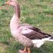 Profile Picture of Scott Sowers (@sdsowers1416) on Pinterest