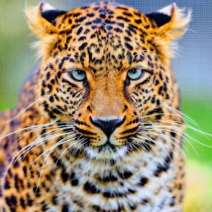 peter - Tiktok Profile Picture of peter (@petermercer18) on Tiktok