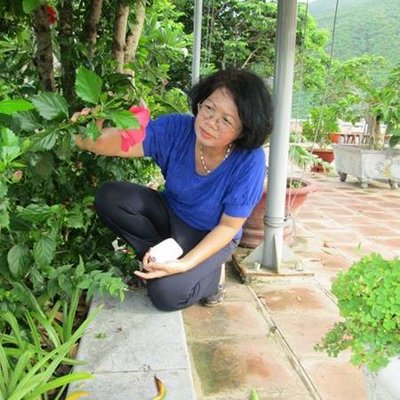 Profile Picture of Vu Thi Phuong Anh (@anhvukim) on Twitter