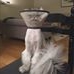 Profile Picture of Dennis Irby (@dennis.irby.5) on Facebook