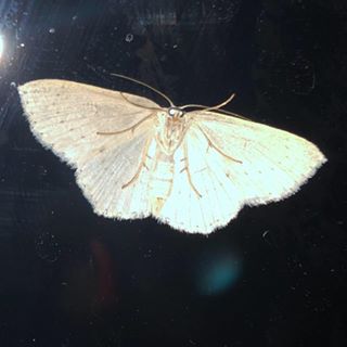 Profile Picture of Bahar Abbasi (@bahar.abbasi.90857) on Facebook