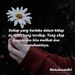 Profile Picture of Umar hamzah Markhalim (@umarhamzahm) on Pinterest