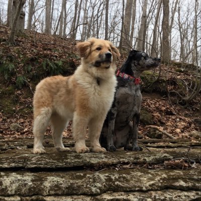 Profile Picture of Michael Boesch (@MichaelBoesch10) on Twitter