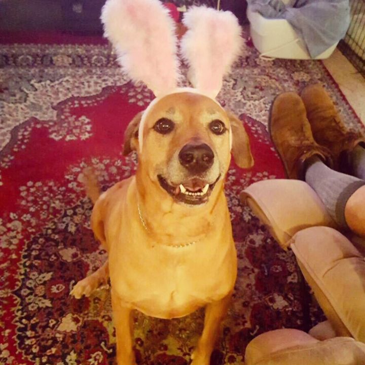 Profile Picture of 😍💜 WILMA 😂😋 (@phyllis.matthews) on Tiktok
