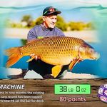 Profile Picture of Bryan Cooper (@azcandycarp) on Instagram