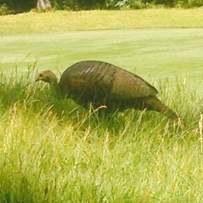 Profile Picture of Jason (@jasonMccourt7) on Twitter