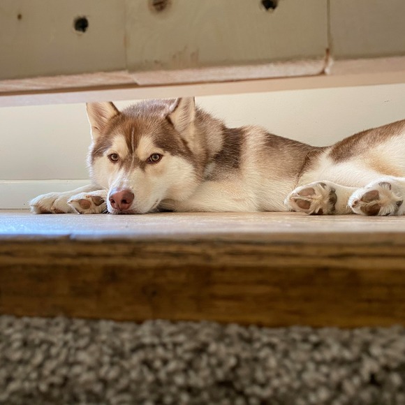 Profile Picture of Keith Welch (@kjewelch) on Poshmark