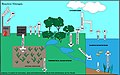 Profile Picture of Nitrogen cycleon Wikipedia