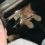 Profile Picture of Jorge Salceda (@Jorge-Salceda) on Facebook