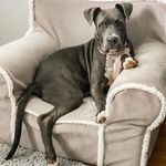 Profile Picture of Patricia davis (@mrsdavi.s) on Instagram