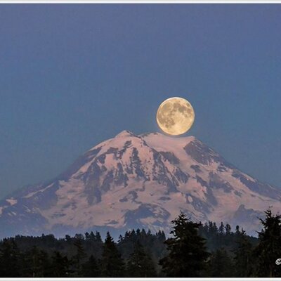 Profile Picture of Nancy LaRocque (@woo6356_nancy) on Twitter