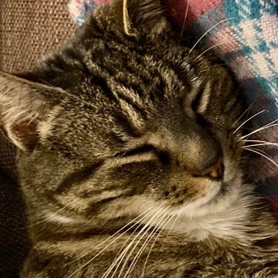 Profile Picture of Matt Birk (@ehealth_guru) on Twitter