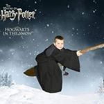 Profile Picture of David Hitchings (@hitchingsdavid) on Instagram