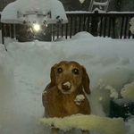 Profile Picture of Pete Dupuis (@dupuispete) on Instagram