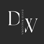 Profile Picture of David Waligora (@DavidWaligora-zd7rs) on Youtube