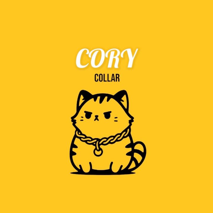 Profile Picture of Cory Collar (@cory.collar) on Tiktok