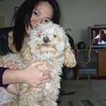 Profile Picture of Ruth Liu (@liu.ruth) on Instagram