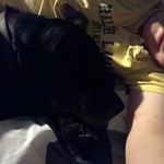 Profile Picture of James Laurie (@jameslaurie5) on Instagram