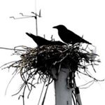 Profile Picture of Jerry Boverhof (@ujcedarmere) on Instagram