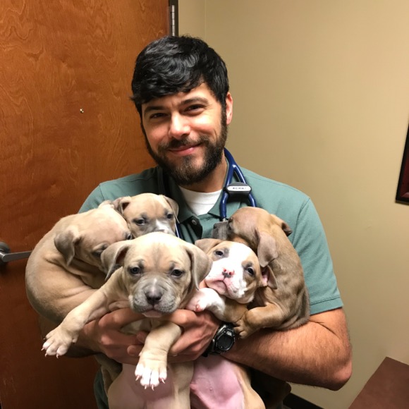 Profile Picture of Jared Miller (@jaredmillerdvm) on Poshmark