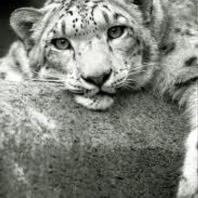 Profile Picture of Robert Eidemiller (@re145802) on Twitter