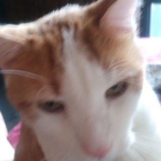 Nathan Tracanna - Facebook Profile Picture of Nathan Tracanna (@nathan.tracanna.3) on Facebook