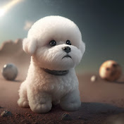 Profile Picture of Xing Xiao (@xingxiao4749) on Youtube