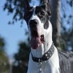 Frank Garrod - Instagram Profile Picture of Frank Garrod (@mrmtnbk1) on Instagram