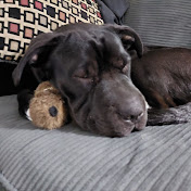 Profile Picture of Heather Chase (@heatherchase8070) on Youtube