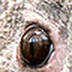 Profile Picture of Francisca Garc?a Bernal (@Francisca Garc?a Bernal) on Flickr