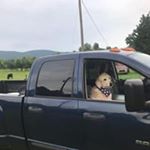 Profile Picture of Kyle Cowart (@cowartk) on Instagram