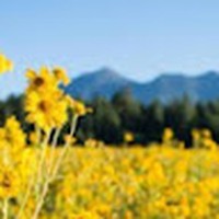 Profile Picture of Carlie Parker (@carlie-parker-9) on Quora