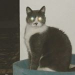 Profile Picture of Joe & Paula (@paulajoecam) on Instagram