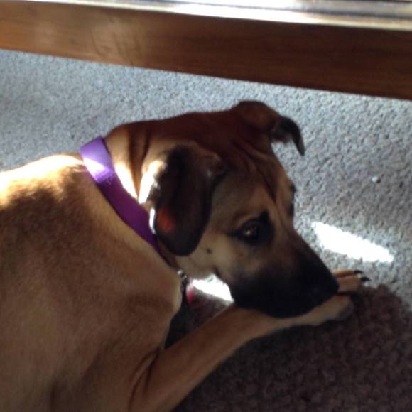 Profile Picture of Robyn Piccard (@windy1963) on Poshmark