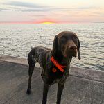 Dane Duhaney - Instagram Profile Picture of Dane Duhaney (@duhadu__) on Instagram