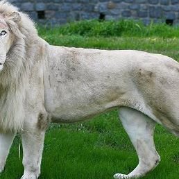 Profile Picture of Daniel Ardila (@daniel.ardila.739) on Facebook